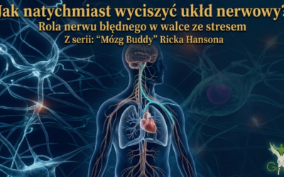 Jak natychmiast wyciszyć układ nerwowy? Rola nerwu błędnego w walce ze stresem